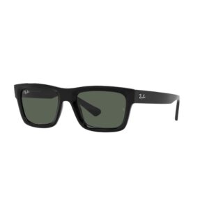 RAY-BAN WARREN RB4396 6677/80